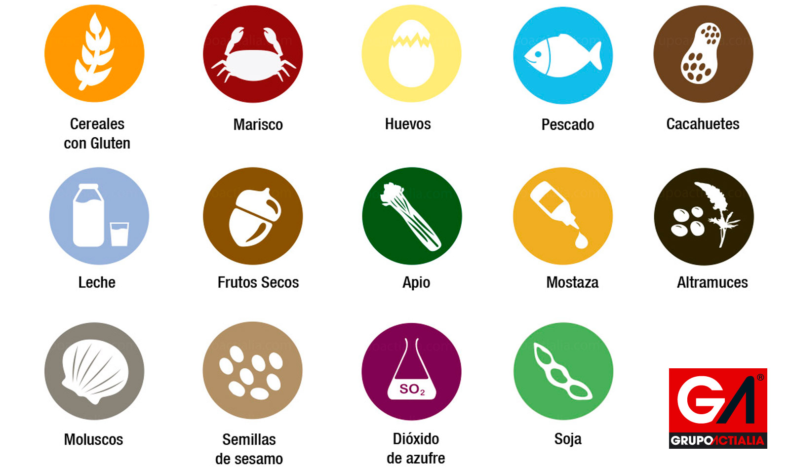14 Iconos de Alergenos alimentación de restaurantes